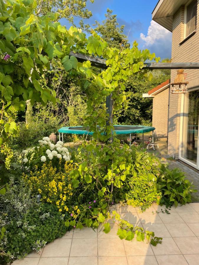 B&B Eibergen Met Prive Zwembad En Sauna Exteriör bild